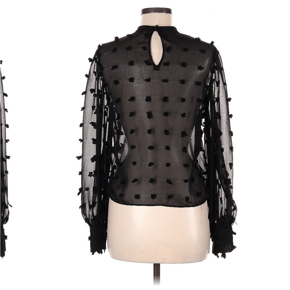 Zara Sheer Black Blouse with Poofy Dots - Picture 4 of 4